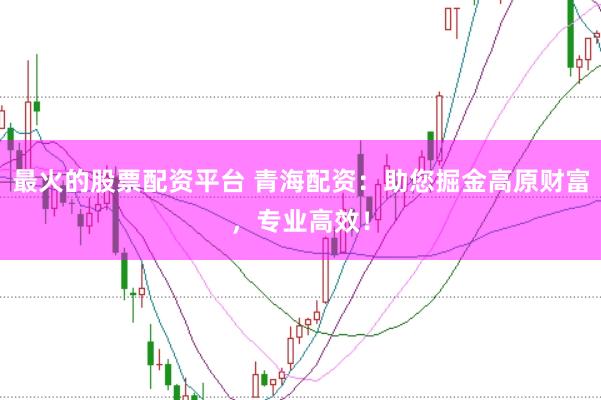 最火的股票配资平台 青海配资：助您掘金高原财富，专业高效！