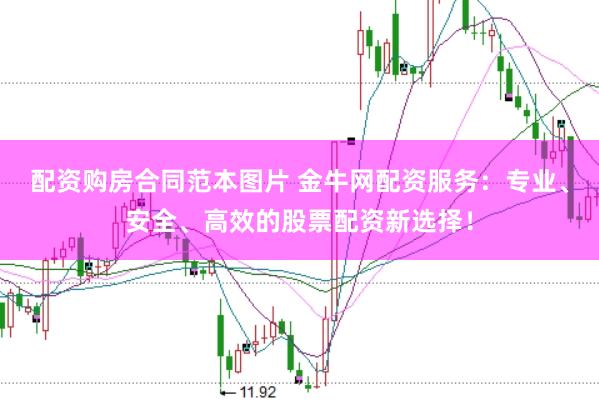 配资购房合同范本图片 金牛网配资服务：专业、安全、高效的股票配资新选择！