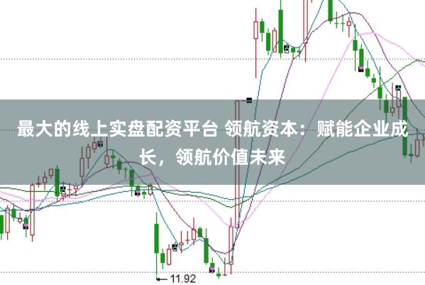 最大的线上实盘配资平台 领航资本：赋能企业成长，领航价值未来