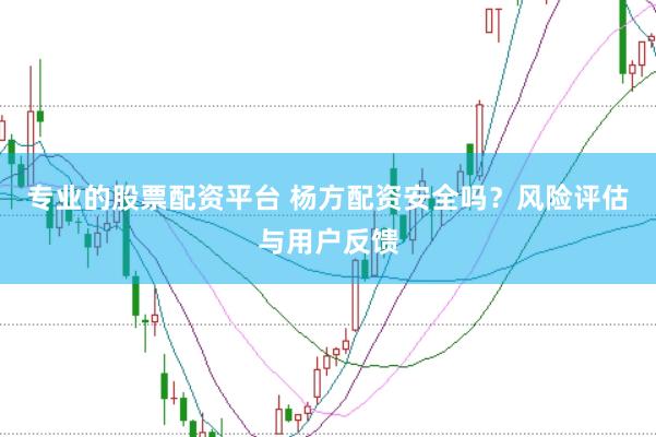专业的股票配资平台 杨方配资安全吗？风险评估与用户反馈