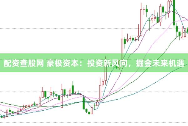 配资查股网 豪极资本：投资新风向，掘金未来机遇
