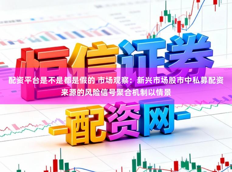 配资平台是不是都是假的 市场观察：新兴市场股市中私募配资来源的风险信号聚合机制以情景