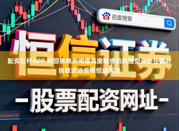 配资杠杆APP 对回撤触发阈值高度敏感的风控型资金在面对指数波动受限但结构活