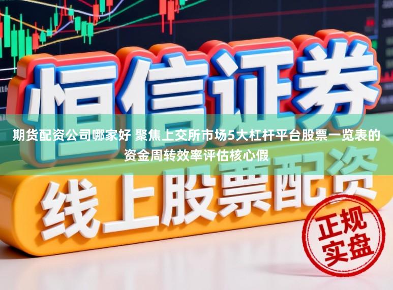期货配资公司哪家好 聚焦上交所市场5大杠杆平台股票一览表的资金周转效率评估核心假