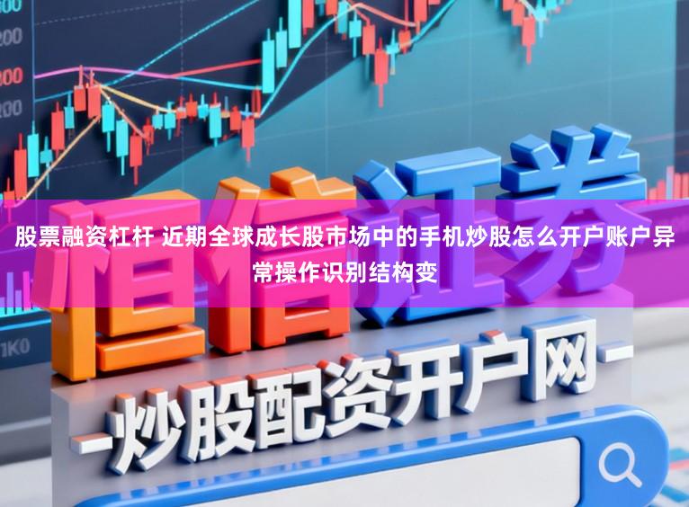 股票融资杠杆 近期全球成长股市场中的手机炒股怎么开户账户异常操作识别结构变